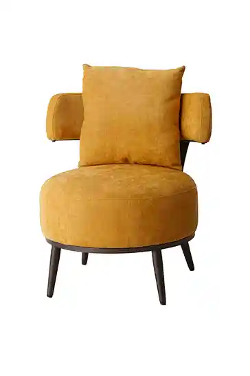 modern leisure chair